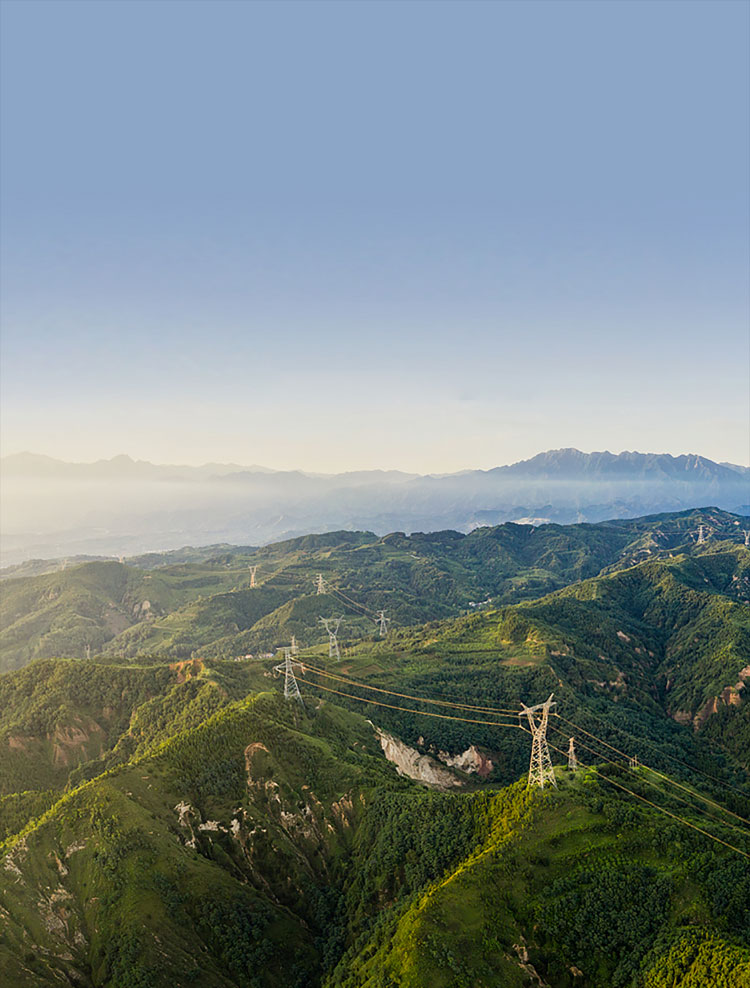 人生就是博官网股份