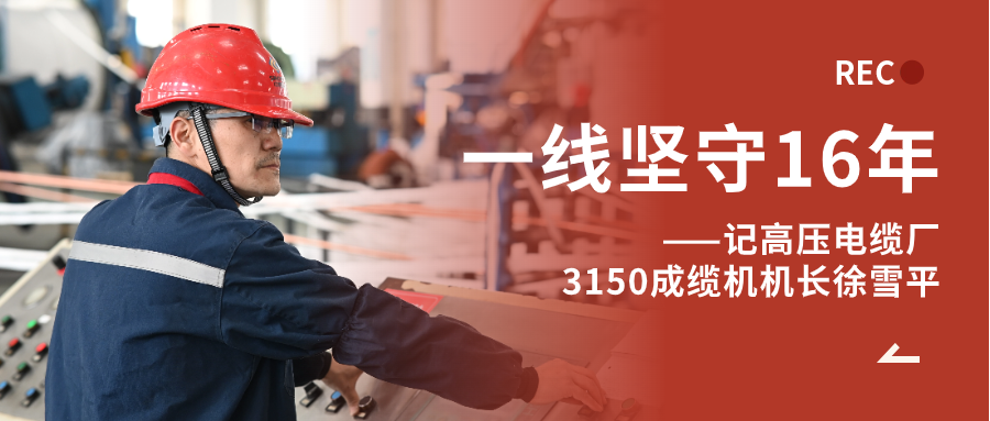徐雪平：匠“成”于心，十六年筚路“缆”缕