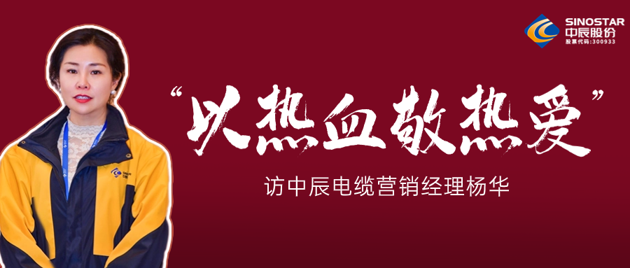 真正的热爱，铸就销售女王——访人生就是博官网电缆营销经理杨华