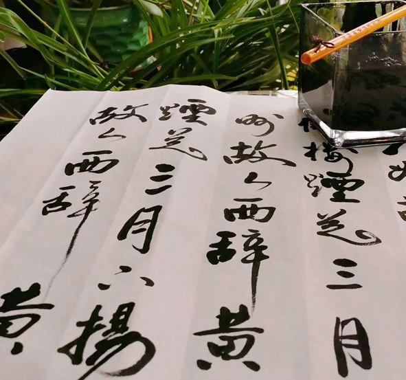 2020032913590298298 首页-人生就是博(官网)